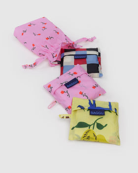 Standard Baggu Set of 3 - Painted Prairie